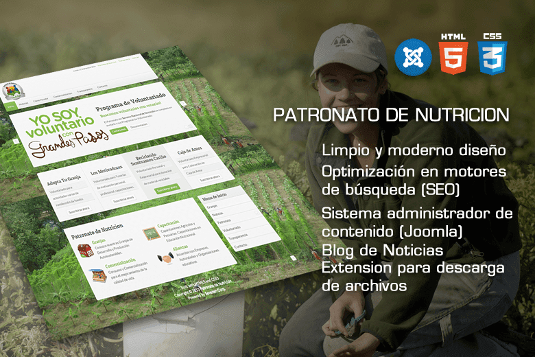 Sitio web institucional
