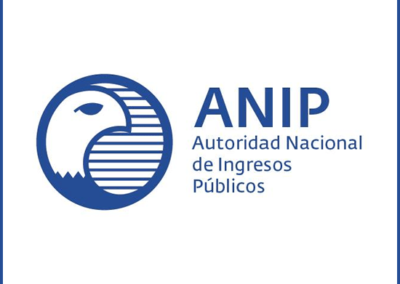 ANIP Panama – Branding